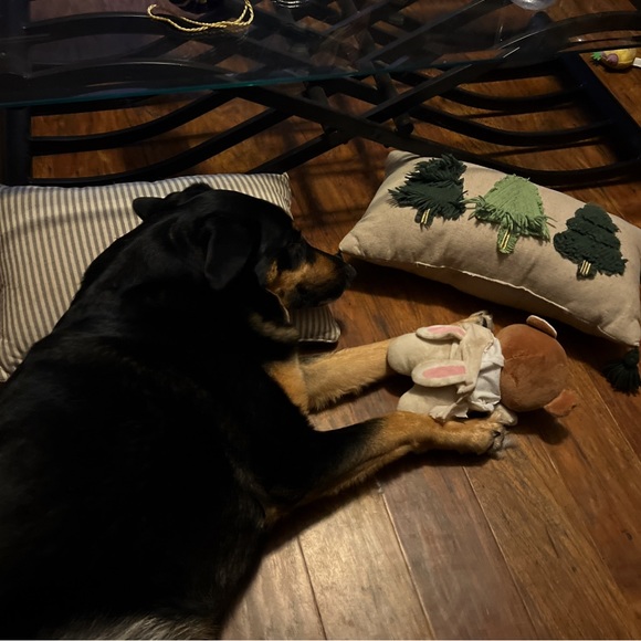 Meet your Posher, Victoria - Picture 2 of 4